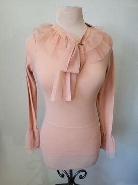 Twelve by Twelve Blush Pink Ruffled Tie-Neck Tulle Sleeve Sweater XS